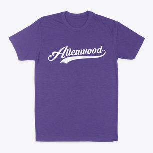 Allenwood Pennsylvania Vintage Team Classic Dad T-Shirt