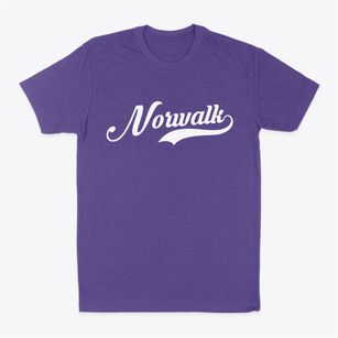 Norwalk California Vintage Team Classic Dad T-Shirt