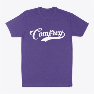 Comfrey Minnesota Vintage Team Classic Dad T-Shirt