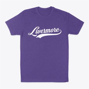 Livermore Iowa Vintage Team Classic Dad T-Shirt