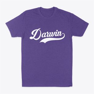 Darwin Minnesota Vintage Team Classic Dad T-Shirt