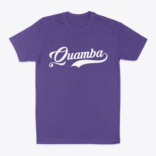 Quamba Minnesota Vintage Team Classic Dad T-Shirt