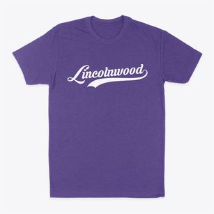 Lincolnwood Illinois Vintage Team Classic Dad T-Shirt