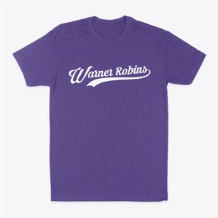Warner Robins Georgia Vintage Team Classic Dad T-Shirt