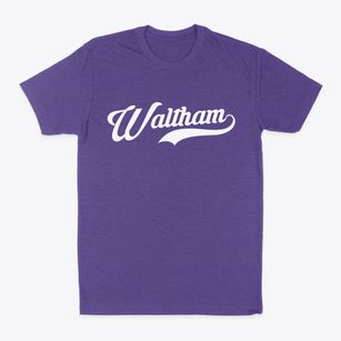 Waltham Massachusetts Vintage Team Classic Dad T-Shirt