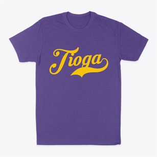 Tioga New York Vintage Team Classic Dad T-Shirt