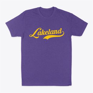 Lakeland New York Vintage Team Classic Dad T-Shirt