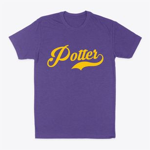 Potter New York Vintage Team Classic Dad T-Shirt