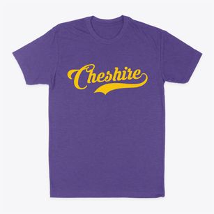 Cheshire Connecticut Vintage Team Classic Dad T-Shirt
