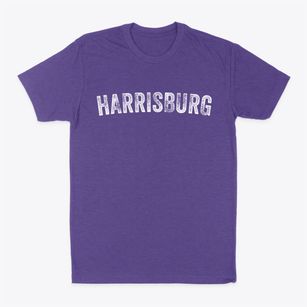 Harrisburg Pennsylvania Timeless Retro Classic Dad T-Shirt