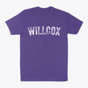 Willcox Arizona Timeless Retro Classic Dad T-Shirt