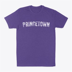 Princetown New York Timeless Retro Classic Dad T-Shirt