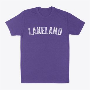 Lakeland Minnesota Timeless Retro Classic Dad T-Shirt