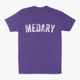 Medary Wisconsin Timeless Retro Classic Dad T-Shirt