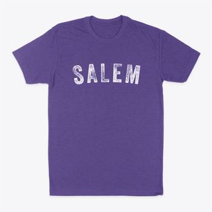 Salem Virginia Timeless Retro Classic Dad T-Shirt