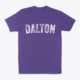 Dalton New Hampshire Timeless Retro Classic Dad T-Shirt