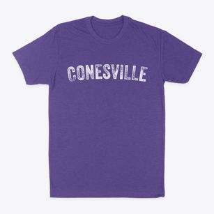 Conesville New York Timeless Retro Classic Dad T-Shirt