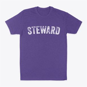 Steward Illinois Timeless Retro Classic Dad T-Shirt