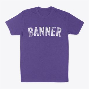Banner Illinois Timeless Retro Classic Dad T-Shirt