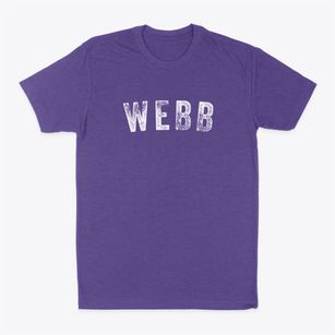 Webb Iowa Timeless Retro Classic Dad T-Shirt