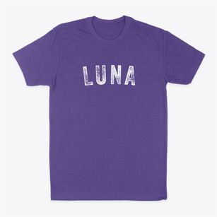 Luna New Mexico Timeless Retro Classic Dad T-Shirt