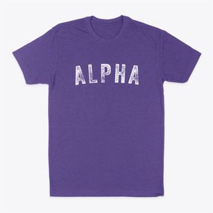 Alpha Minnesota Timeless Retro Classic Dad T-Shirt
