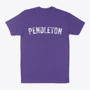 Pendleton Missouri Timeless Retro Classic Dad T-Shirt