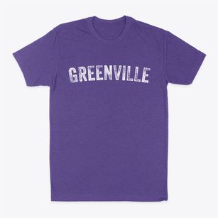 Greenville Wisconsin Timeless Retro Classic Dad T-Shirt