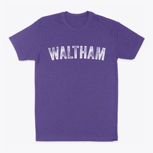 Waltham Massachusetts Timeless Retro Classic Dad T-Shirt