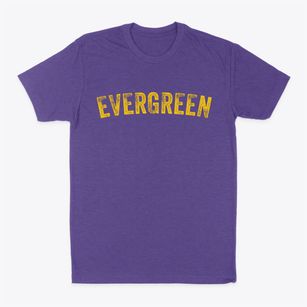 Evergreen Alabama Timeless Retro Classic Dad T-Shirt