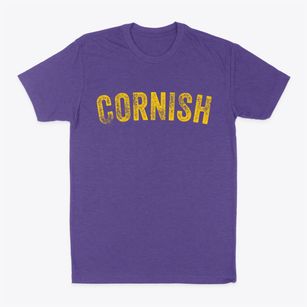 Cornish New Hampshire Timeless Retro Classic Dad T-Shirt