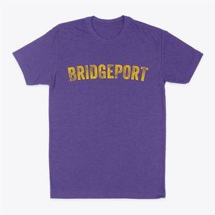Bridgeport New York Timeless Retro Classic Dad T-Shirt