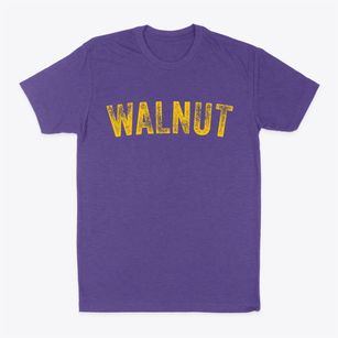 Walnut California Timeless Retro Classic Dad T-Shirt