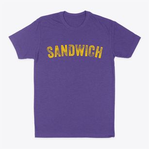 Sandwich New Hampshire Timeless Retro Classic Dad T-Shirt