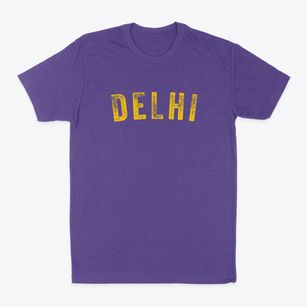 Delhi Minnesota Timeless Retro Classic Dad T-Shirt