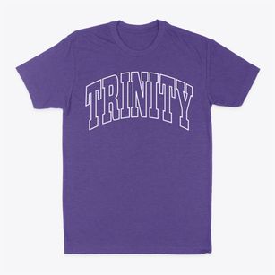 Trinity Texas Trendy Block Classic Dad T-Shirt