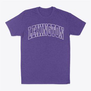Lexington Massachusetts Trendy Block Classic Dad T-Shirt