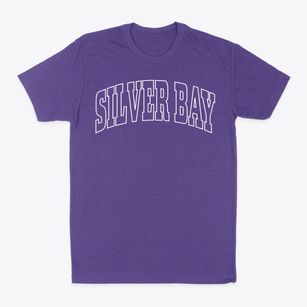 Silver Bay Minnesota Trendy Block Classic Dad T-Shirt
