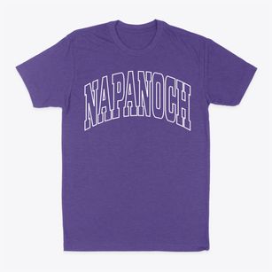 Napanoch New York Trendy Block Classic Dad T-Shirt