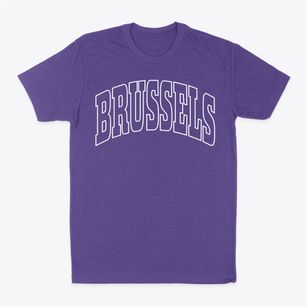 Brussels Wisconsin Trendy Block Classic Dad T-Shirt
