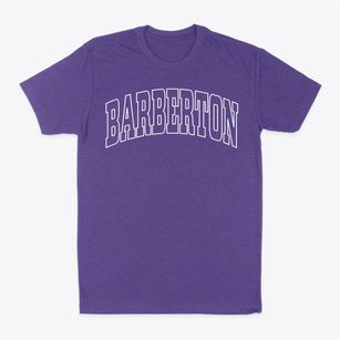 Barberton Ohio Trendy Block Classic Dad T-Shirt