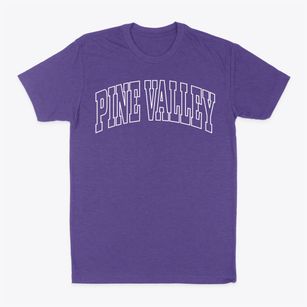 Pine Valley New York Trendy Block Classic Dad T-Shirt