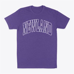Newland North Carolina Trendy Block Classic Dad T-Shirt