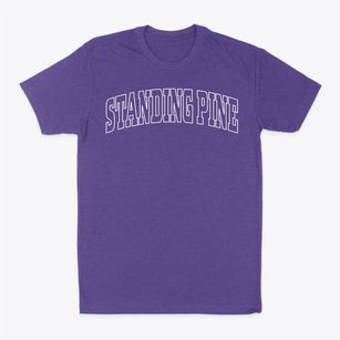 Standing Pine Mississippi Trendy Block Classic Dad T-Shirt