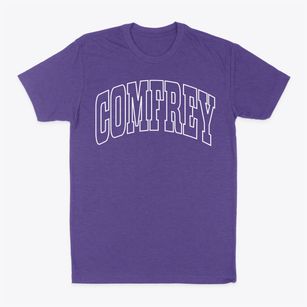 Comfrey Minnesota Trendy Block Classic Dad T-Shirt