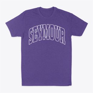 Seymour Illinois Trendy Block Classic Dad T-Shirt