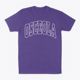 Osceola New York Trendy Block Classic Dad T-Shirt