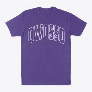 Owosso Michigan Trendy Block Classic Dad T-Shirt