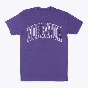 Norcatur Kansas Trendy Block Classic Dad T-Shirt