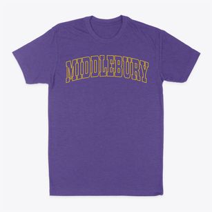 Middlebury New York Trendy Block Classic Dad T-Shirt